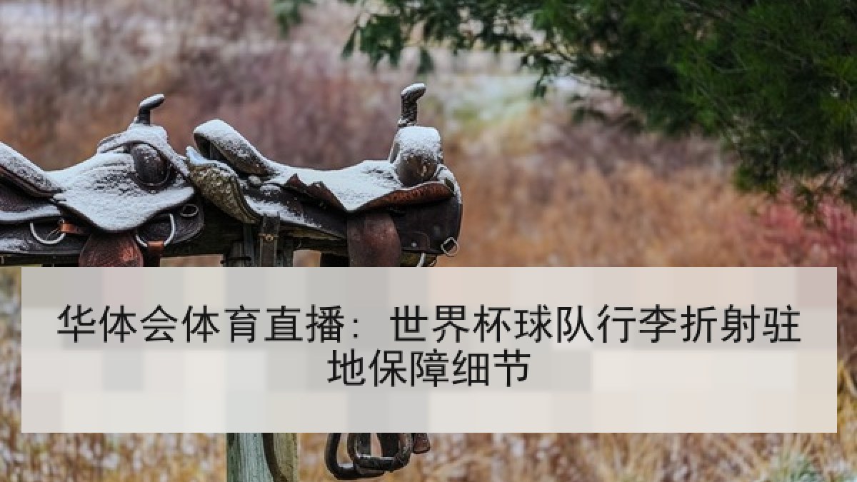 华体会体育直播: 世界杯球队行李折射驻地保障细节