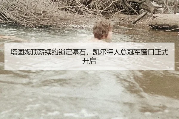 塔图姆顶薪续约锁定基石，凯尔特人总冠军窗口正式开启