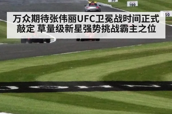 万众期待张伟丽UFC卫冕战时间正式敲定 草量级新星强势挑战霸主之位